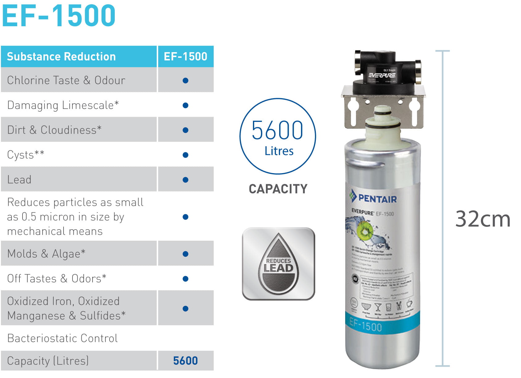 Everpure EF-1500 Dedicated Water Filter Tap System